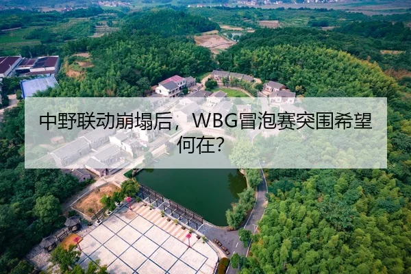 中野联动崩塌后，WBG冒泡赛突围希望何在？