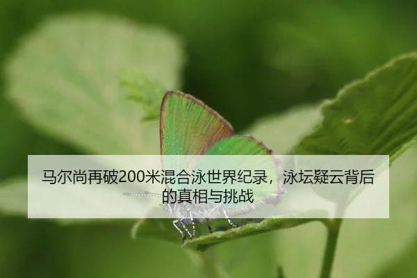ma-er-shang-zai-po-mi-hun-he-yong-shi-jie-ji-lu-yong-tan-yi-yun-bei-hou-de-zhen-xiang-yu-tiao-zhan-2-237.jpg