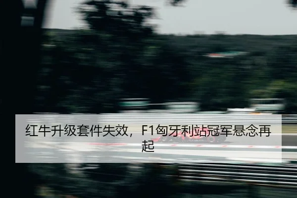 hong-niu-sheng-ji-tao-jian-shi-xiao-xiong-ya-li-zhan-guan-jun-xuan-nian-zai-qi-2-854.jpg